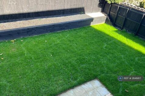 Back Garden