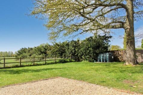 Back Garden