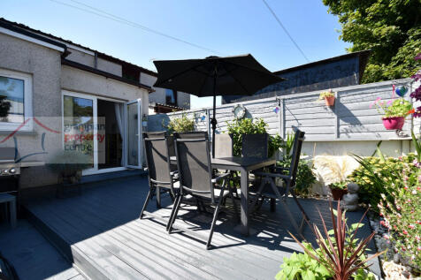 new garden 4 .JPG
