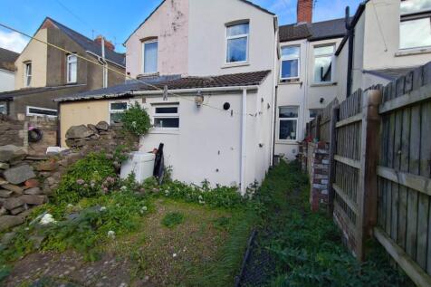 Rear garden (2)