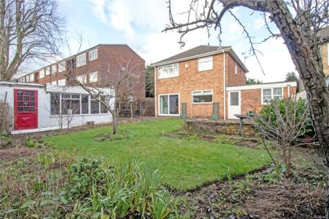 Picture No. 16