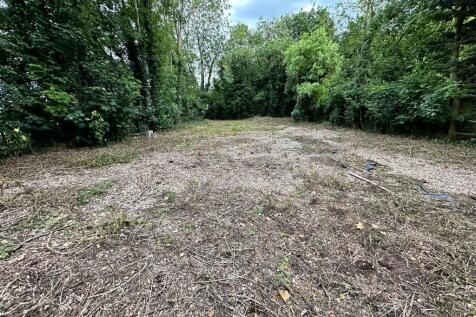 5 T202506121519.jpeg