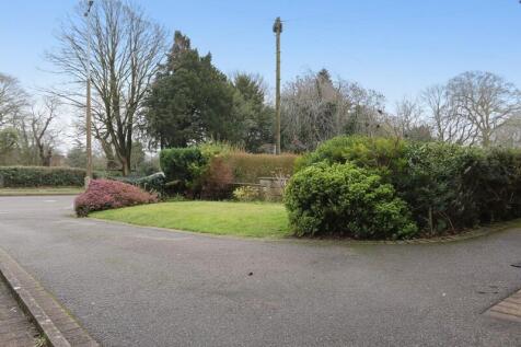 Outside Picture 5