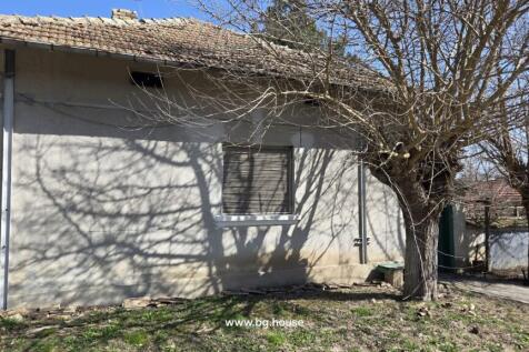 The side wall of the house shows a closed window with blinds and shadows of leafless trees on the wall under a clear sky.