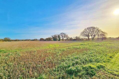 Farmland Views