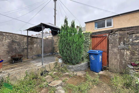 Rear Yard