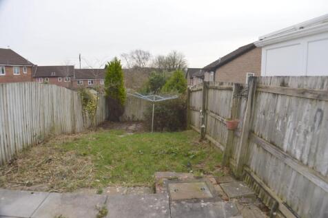 Back Garden