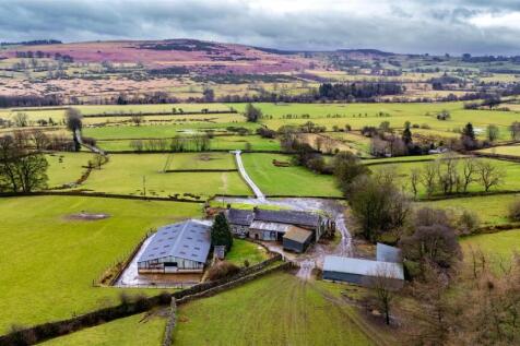 DJI_20260210130101_0263_D.jpg