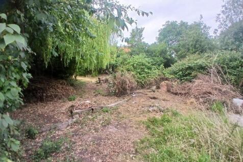 rear garden.jpg