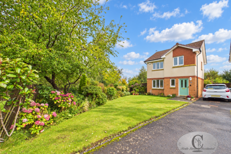 Property Image 39