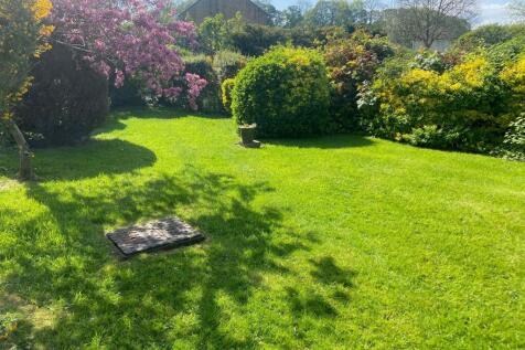 Garden 2.jpg
