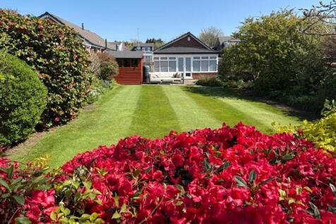 rear garden in bloom 1.jpg