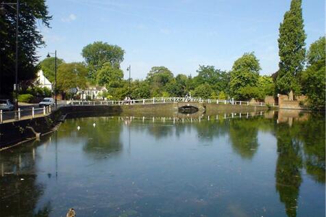 Carshalton Pond