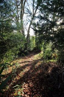 WOODLAND TO THE REAR OF THE GARDEN