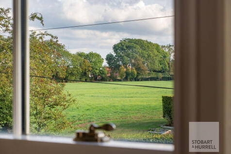 Room With A View
