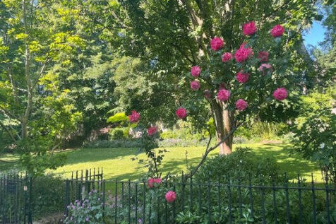 GARDENS