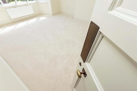 Treveor NEW_7.jpg