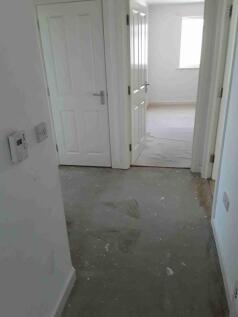 Picture1