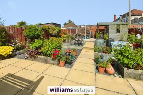 sunny back garden