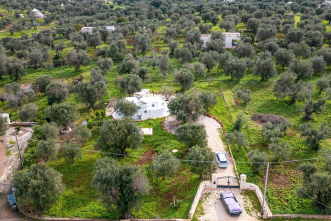 37_LAMIA_DEL_GECO_OSTUNI_WISHING_PUGLIA