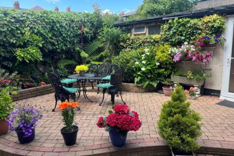 garden 2.jpg