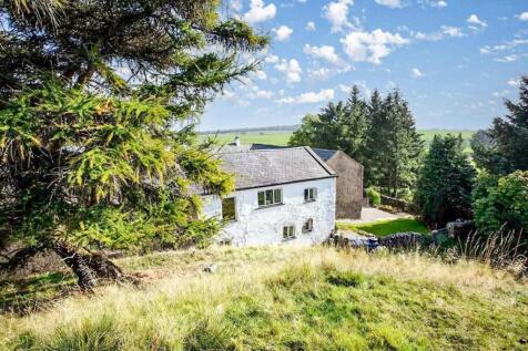 Rear of the Property