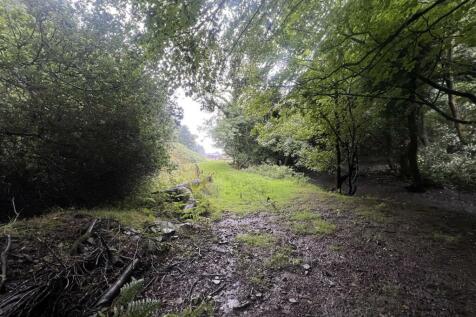 Rear of property.JPG