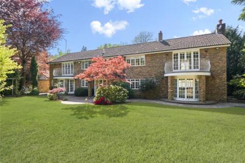 Lovely Garden
