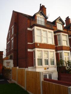 Back of the House