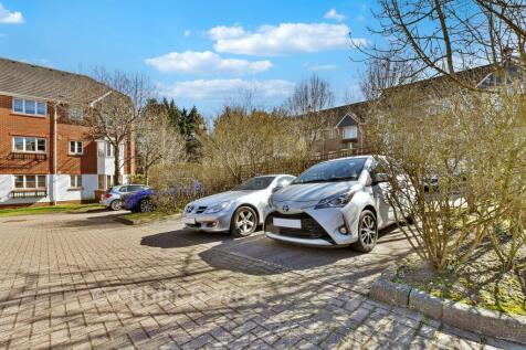 Driveway/Parking
