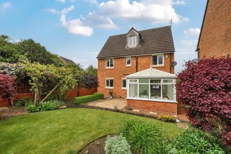 Back garden