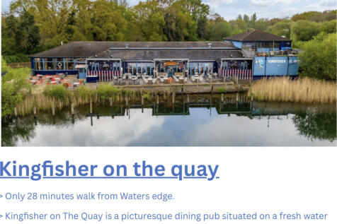 Kingfisher on the...