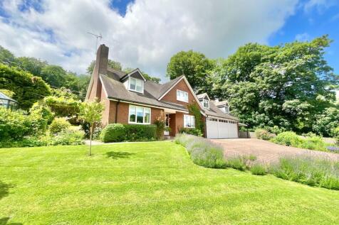 Property Image 43