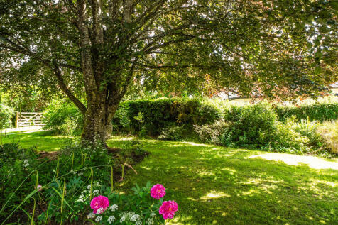 1307303-3-6849a9b...