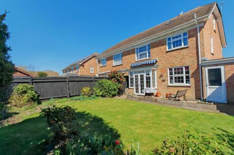 IMG_20250407_134618_edit_620575643039518