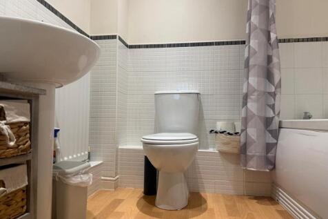 Picture 14