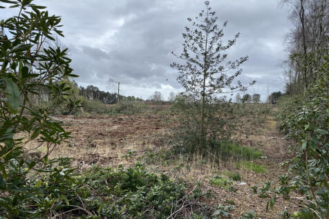 Heathland Walks