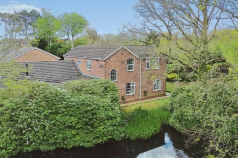 Property Image 41