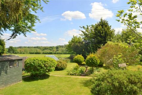 Garden and View