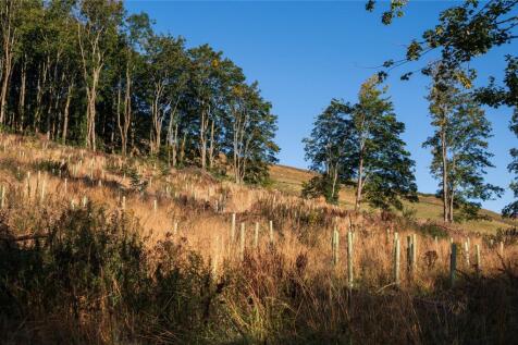 Woodland &amp; Grounds