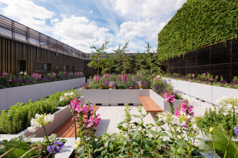 Carnaby Lofts communal roof top garden