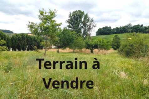 Paysage champêtre avec arbres et herbe sous un cie