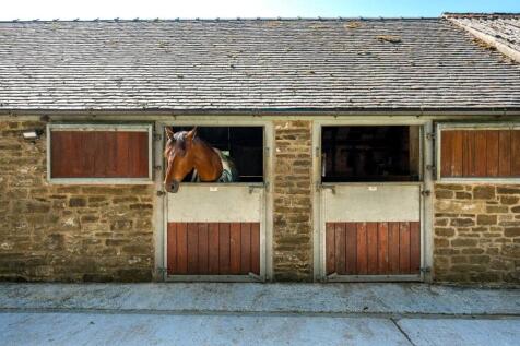 Stables