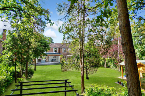 Rear garden with copse