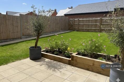 Back Garden
