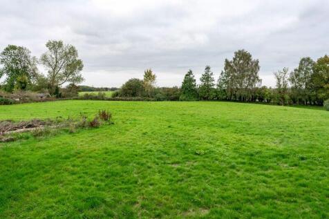 Field View