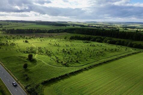 Farm Land for sale Image 3
