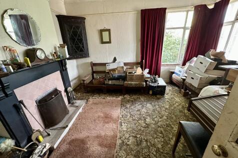 IMG 3430 T202509021622.jpeg