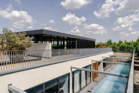 298287 - a0O0X00000QXLQeUAP_N162-edit.jpg