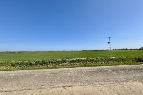 External field views